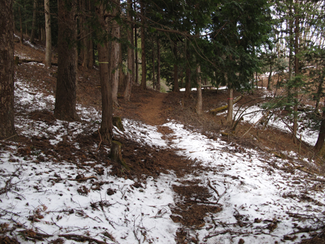 20181214hike (502)